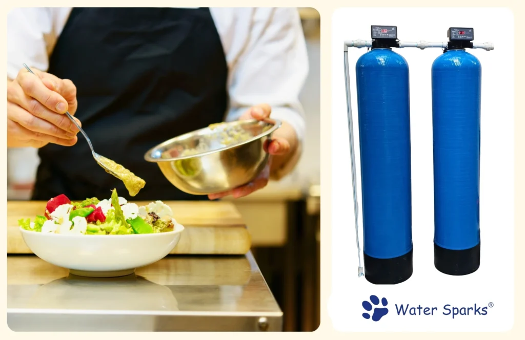 Iron Removal Plant for Hotels & Restaurants
